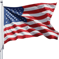 American Flags