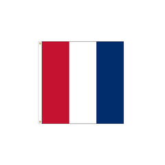 T - Tango Flag - Size 3 - Made in USA