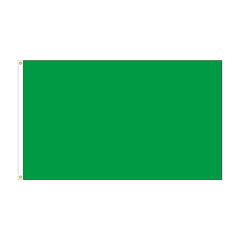 Solid Color Rectangular Nylon Flag – Events, Sports, Marine & More