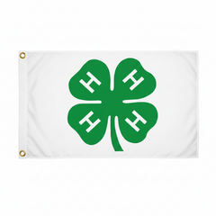 3x5 4H Flag Economical BOGO