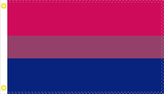 A rectangular flag with three horizontal stripes: bright pink on top, muted mauve in the middle, and dark blue on the bottom. A white hoist strip with two yellow grommets appears on the left edge.