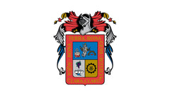 Aguascalientes Flag Bandera - Made in USA