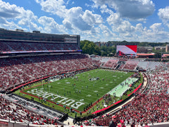3x5 Georgia Bulldogs Deluxe Flag