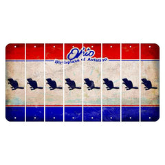 Ohio Sunburst Cut License Plate Strips (Set of 8)