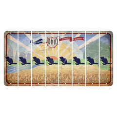 Sunrise in Ohio Cut License Plate Strips (Set of 8)