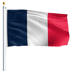 Flag of France with blue, white, and red colors on a white background