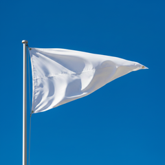 Solid Color Nylon Pennant Flag – Golf, Events, Dealerships & Marine Use