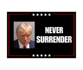 Trump 2024 Mugshot Never Surrender Flag - Made in USA