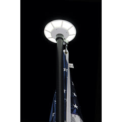 Deluxe LED Solar Flagpole Light