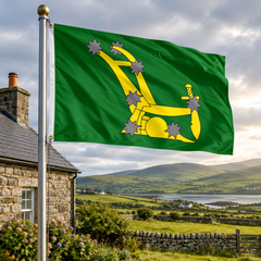 Starry Plough flag in the Irish countryside