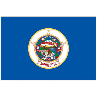 State of Minnesota Flag 3x5 Economical.