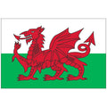 Wales Flag - The Red Dragon Flag Nylon Embroidered