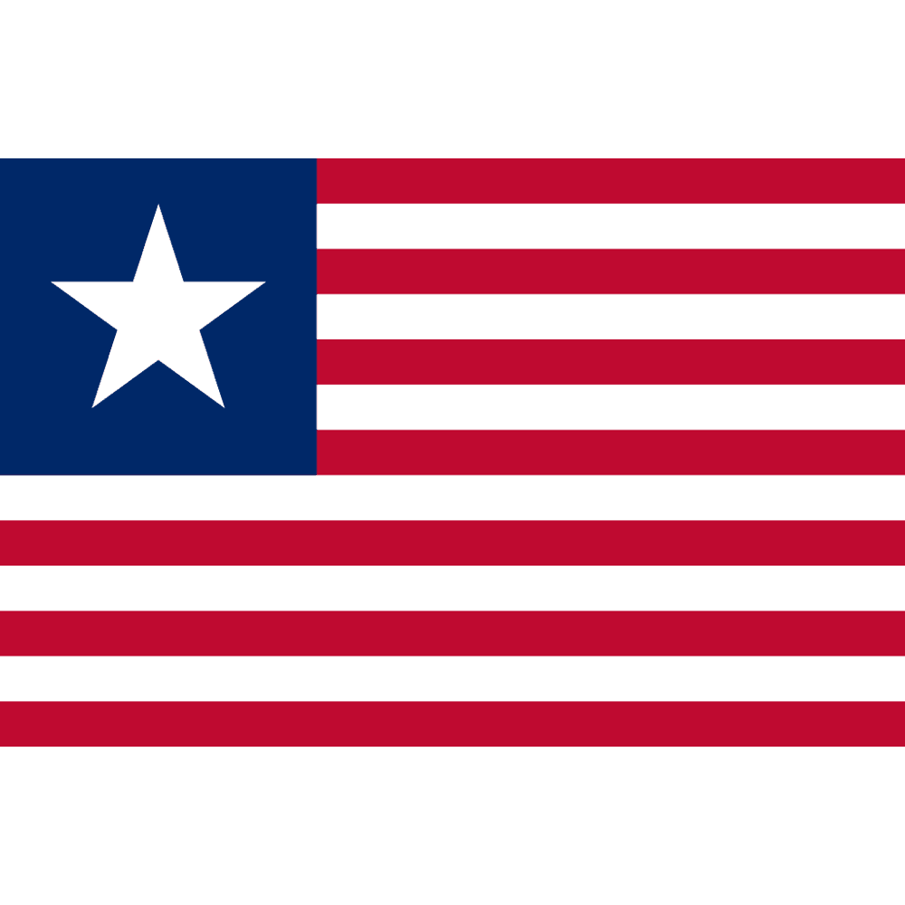 Texas Navy 1836-1839 Flag Custom-Made 2 ft x 3 ft (USA Made).