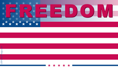 Freedom American Flag - Made in USA