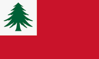 3x5 ft 3rd New England Flag - Cotton