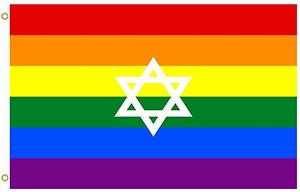 Jewish Rainbow Pride Flag - Standard.