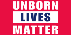Unborn Lives Matter Flag - Made in USA.