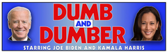 Anti Joe Biden Bumper Sticker, Dumb and Dumber Sticker, Anti Kamala Harris Bumper Sticker, Funny Dumb and Dumber Sticker.