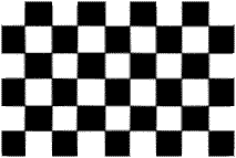 Black and White Checkered Flag 4 X 6 inch on stick.