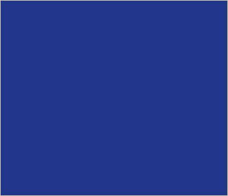 Blue Window Clip Flag.