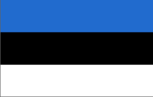 Estonia 3 x 5 Nylon Dyed Flag with Pole Hem (USA Made).