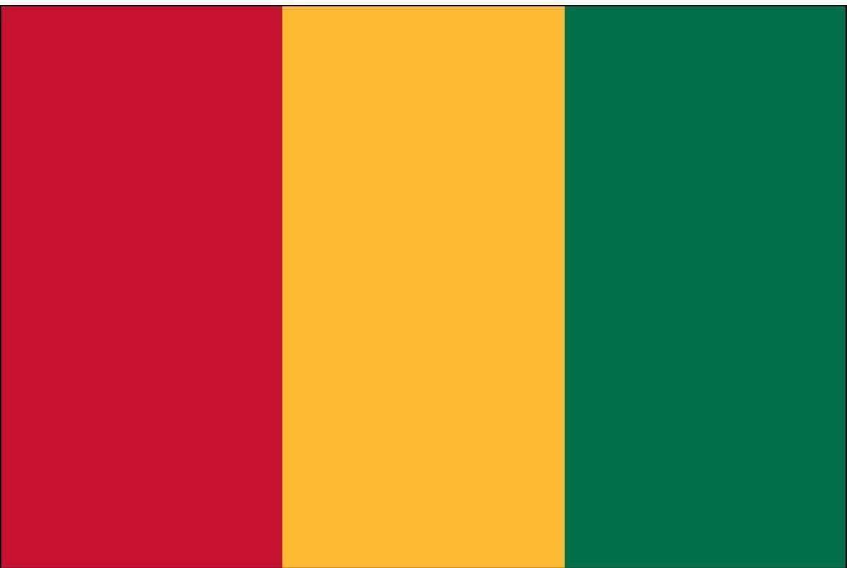 Guinea 3 x 5 Nylon Dyed Flag with Gold Fringe, Tassels & Pole Hem (USA Made).
