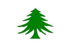 Pine Tree Flag 3 X 5 ft. Standard.