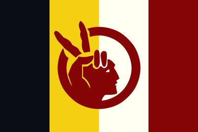 American Indian Movement Flag 3x5 Economical.