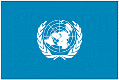 United Nations Flag Pole Hem & Optional Fringe.