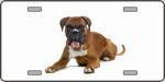 Boxer Dog License Plate.