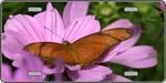 Butterfly on Pink Flower - Full Color Photography License Plate.