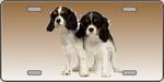 Cavalier King Charles Spaniel Dog License Plate.