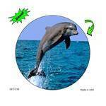 Dolphin Color Decal.