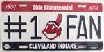 Indians #1 Fan MLB License Plate.