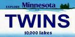 Minnesota State Background License Plate - Twin.