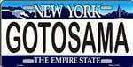 NY New York State Background Got Osama License Plate Tag.