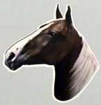 Sorrell Tennessee Walking Horse Full Color Decal.
