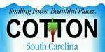 South Carolina State Background License Plate.