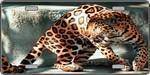 Spotted Leopard - Full Color Photography License Plate.