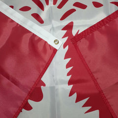 South Carolina Big Red Citadel Flag - Made in USA