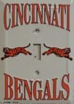 Cincinnati Bengals Light Switch Covers (single).