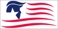 American Trump Flag bumper sticker
